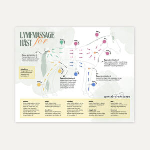 Affisch Lymfmassage för häst